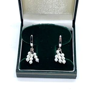 ❤️ HOST PICK ❤️ 14k White Gold Pearl earrings